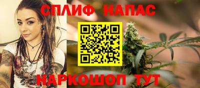 гашик Донецк