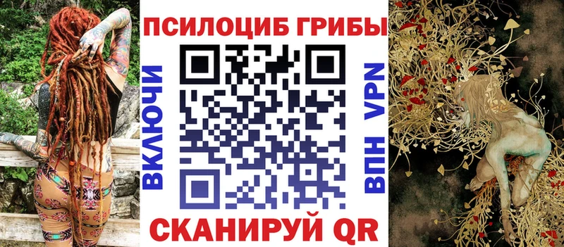 где купить наркоту  hydra зеркало  Галлюциногенные грибы мицелий  Луга 