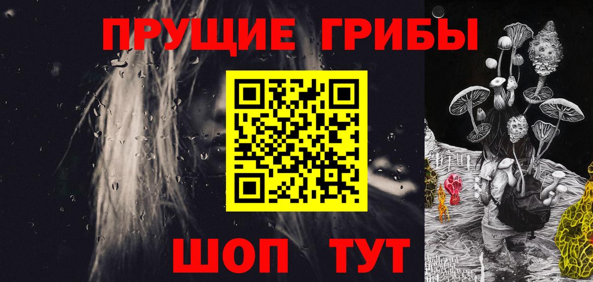Галлюциногенные грибы прущие грибы  Вход с VPN  Луга  Псилоцибиновые грибы MAGIC MUSHROOMS 