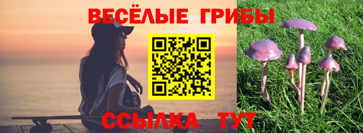 Псилоцибиновые грибы мицелий Луга